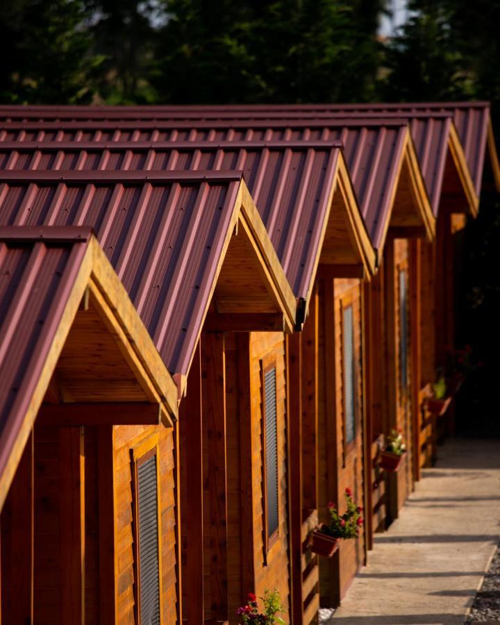 Hotel Divine Garden Ulcinj Exterior foto